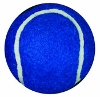 Walkerballs Blue